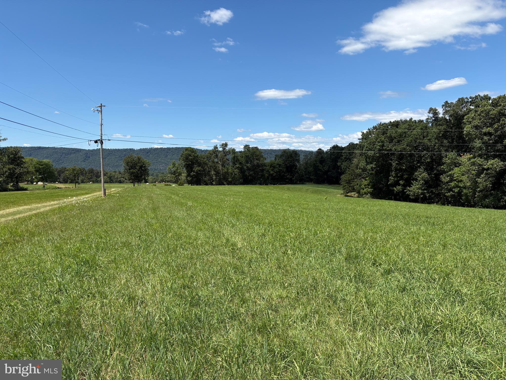 20.96 ACRES WILSON'S LANE