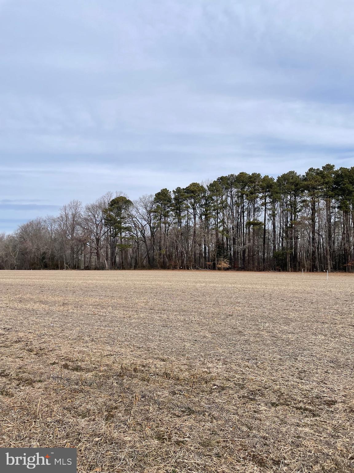 lots 1-4 BEAVER DAM RD
