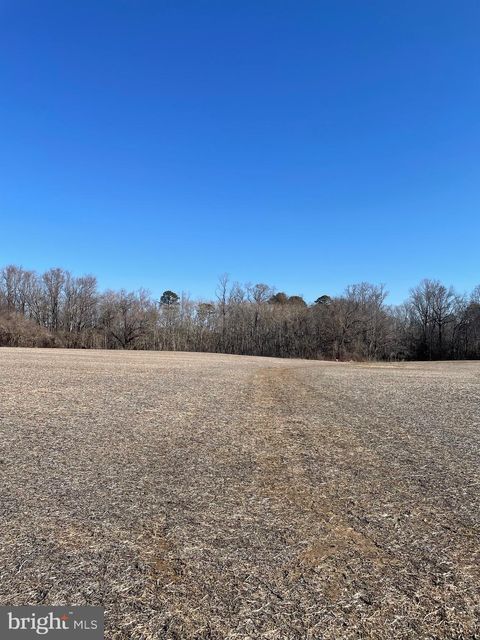 lots 1-4 BEAVER DAM RD TRAPPE MD 21673