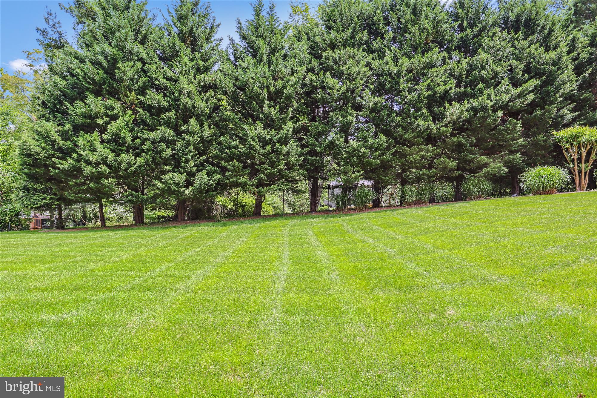 KEMP MILL FOREST - Residential