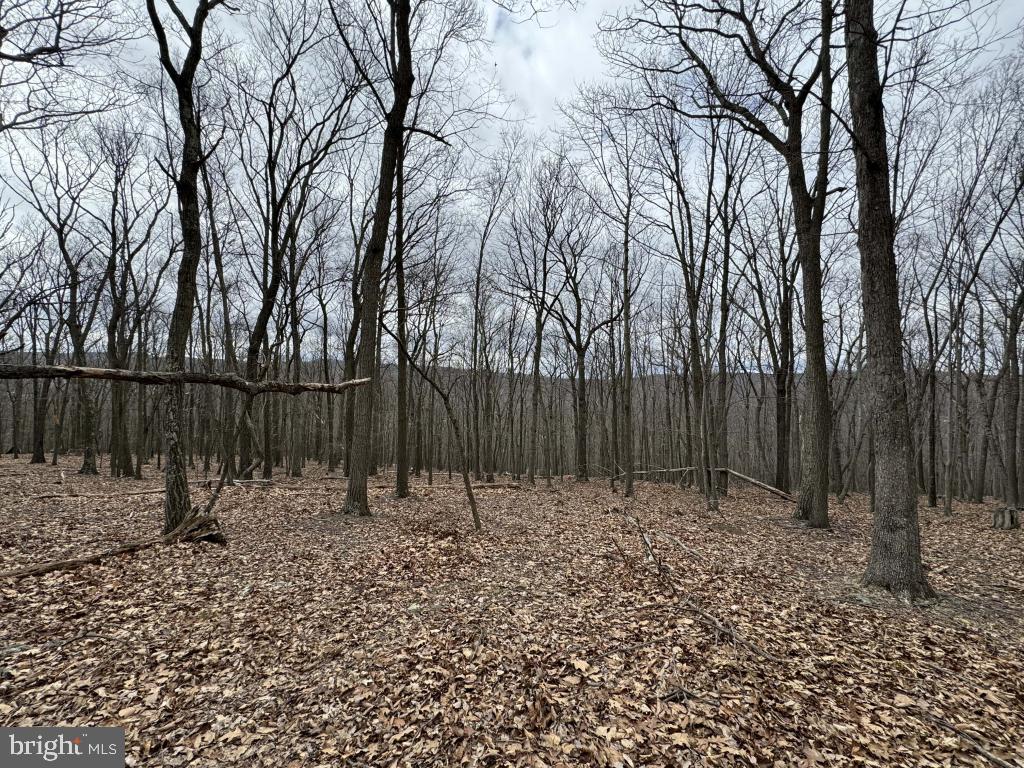 NATHANIEL MOUNTAIN HEIGHTS - Land