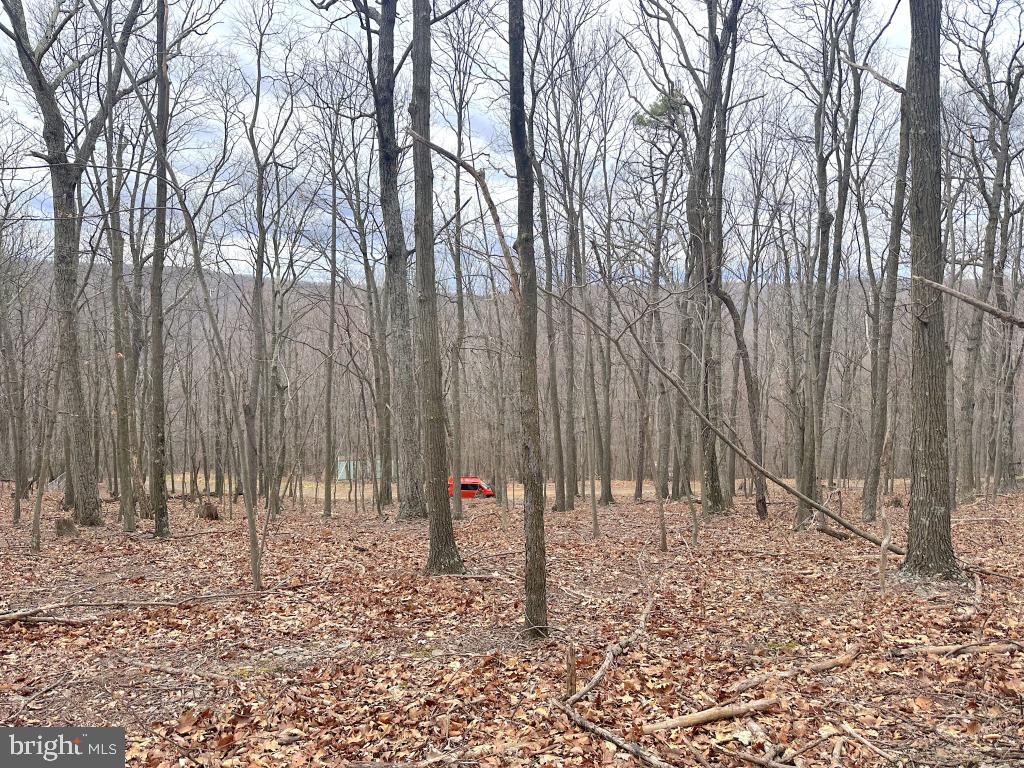 NATHANIEL MOUNTAIN HEIGHTS - Land