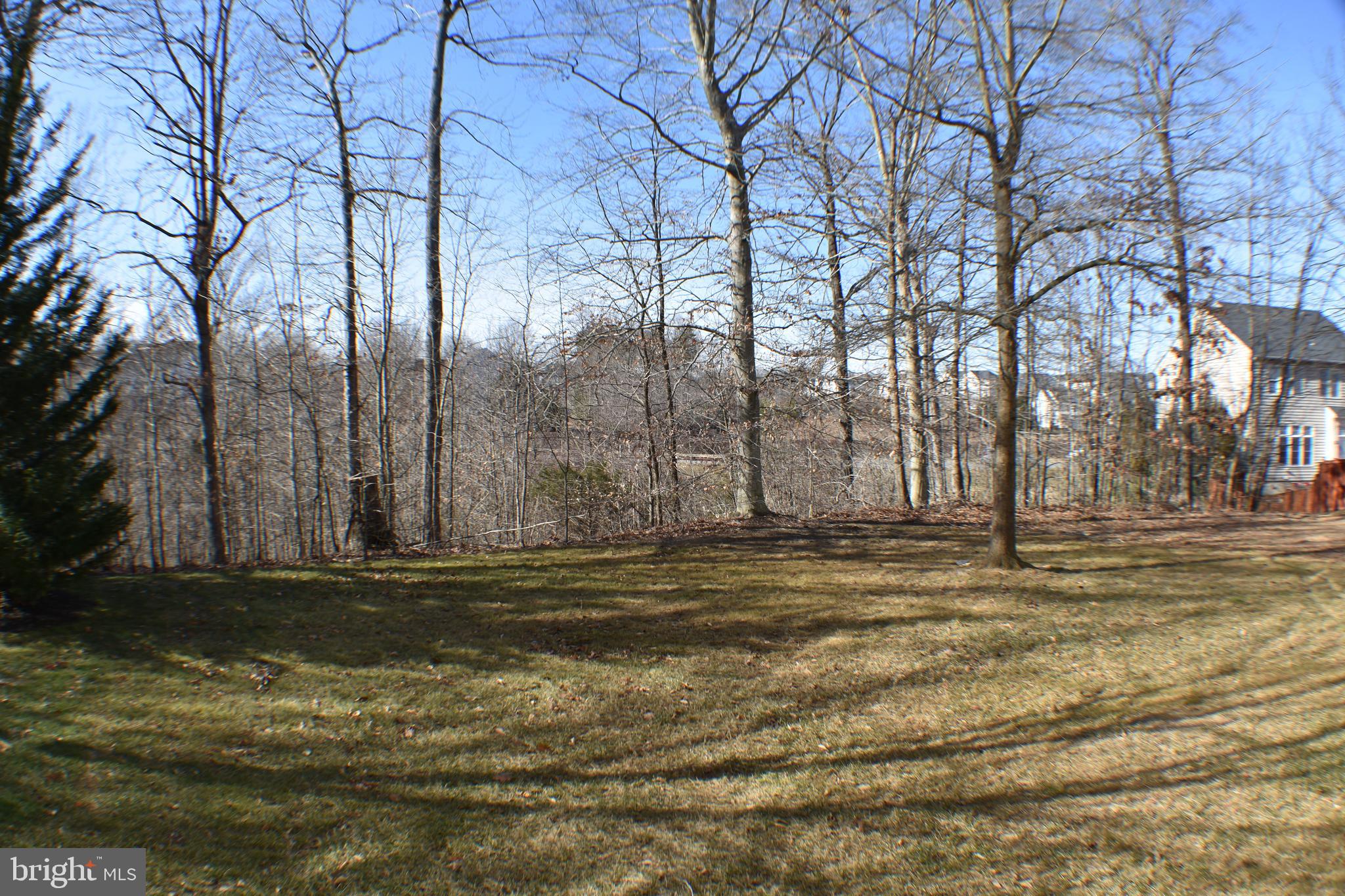 PRINCE WILLIAM TOWN CENTER - Residential