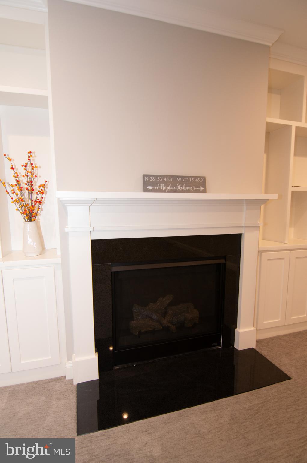 WEST VIENNA WOODS - Residential