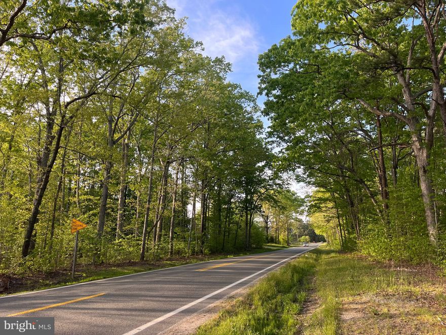 The Little Guinea Creek Tract is Located 10 minutes from downtown Farmville and has road frontage along route 45. This property is fully wooded with Little Guinea Creek forming the boundary in the back. The property has a nice trail system and many opportunities for wildlife. There are mature hardwoods along the creek buffers and the main creek itself with the remainder of the property consisting of 25–30-year-old healthy regrowth. There is a lot of White Oak to be found on this property which could make for a great long term timber investment. This tract is perfectly situated between the town of Farmville and Route 60 making it an ideal location.