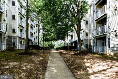 listing image 61