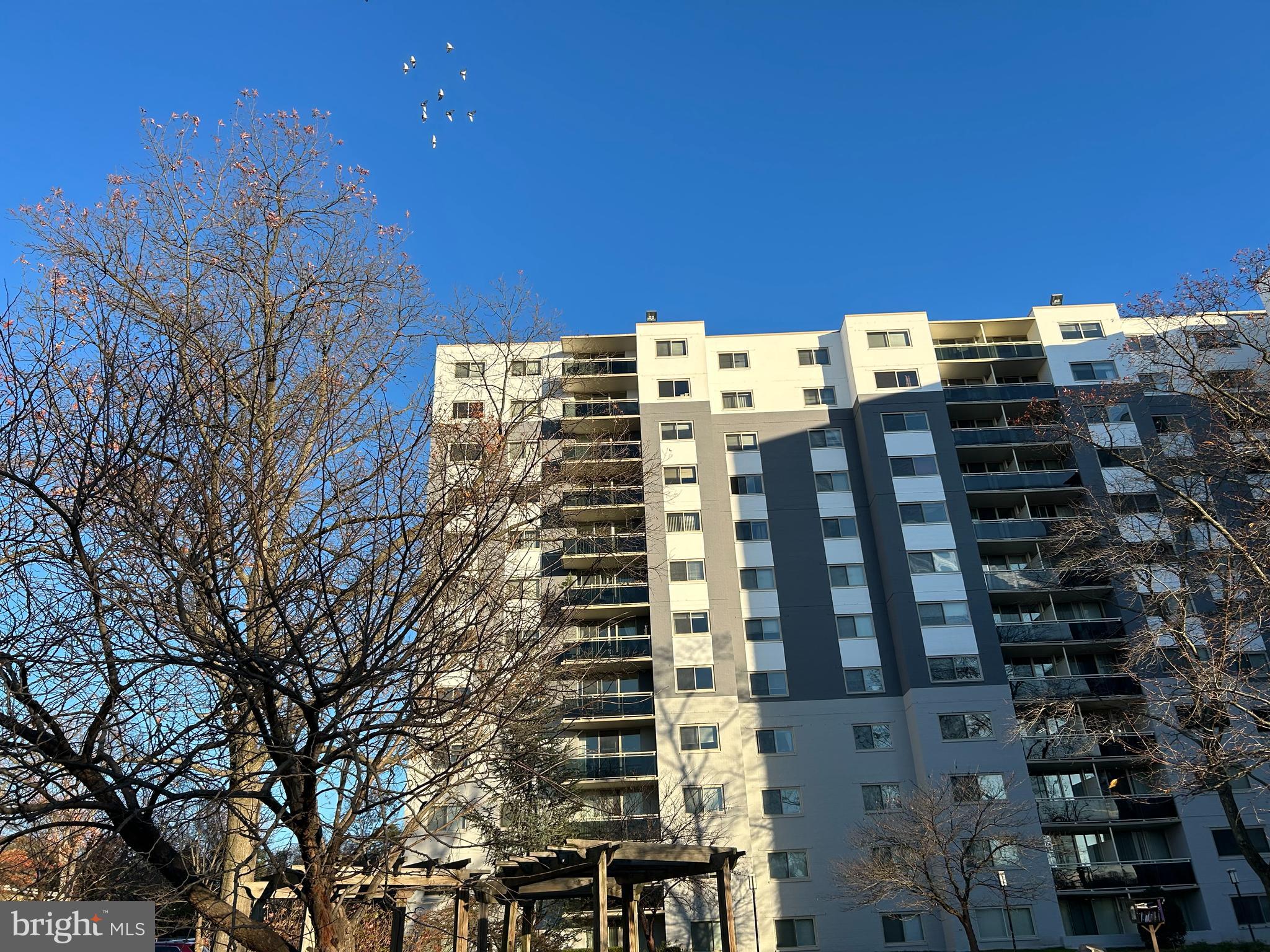 TAKOMA PARK - Residential Lease