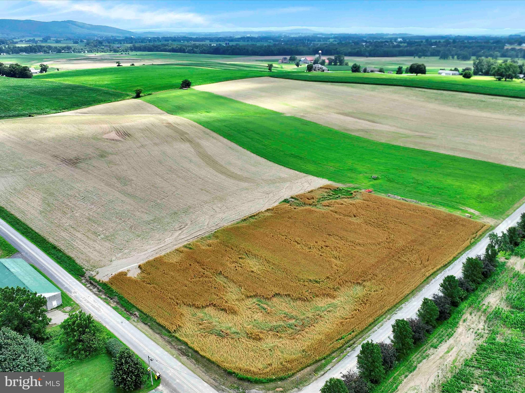 NONE AVAILABLE - Farm