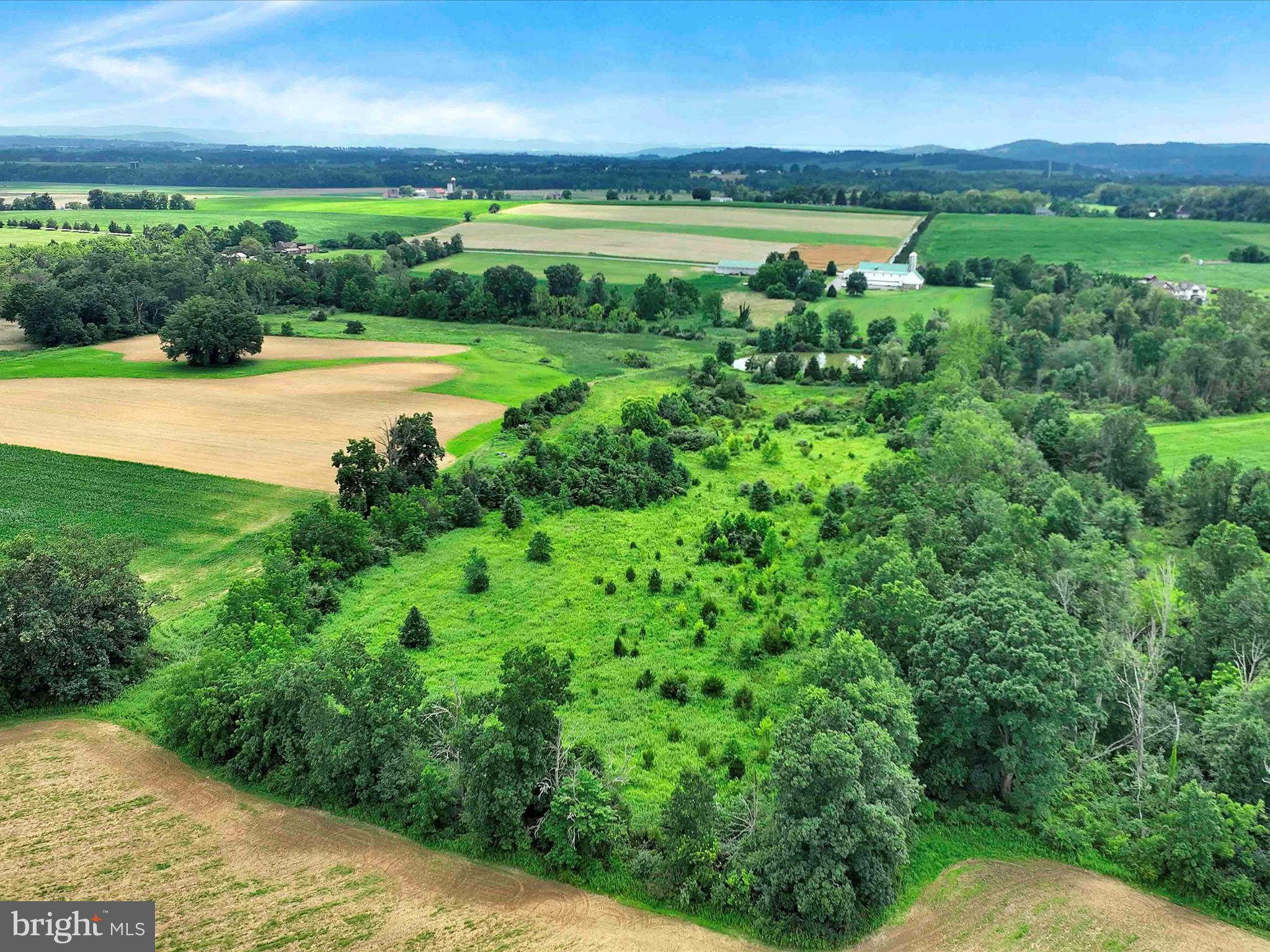 NONE AVAILABLE - Farm