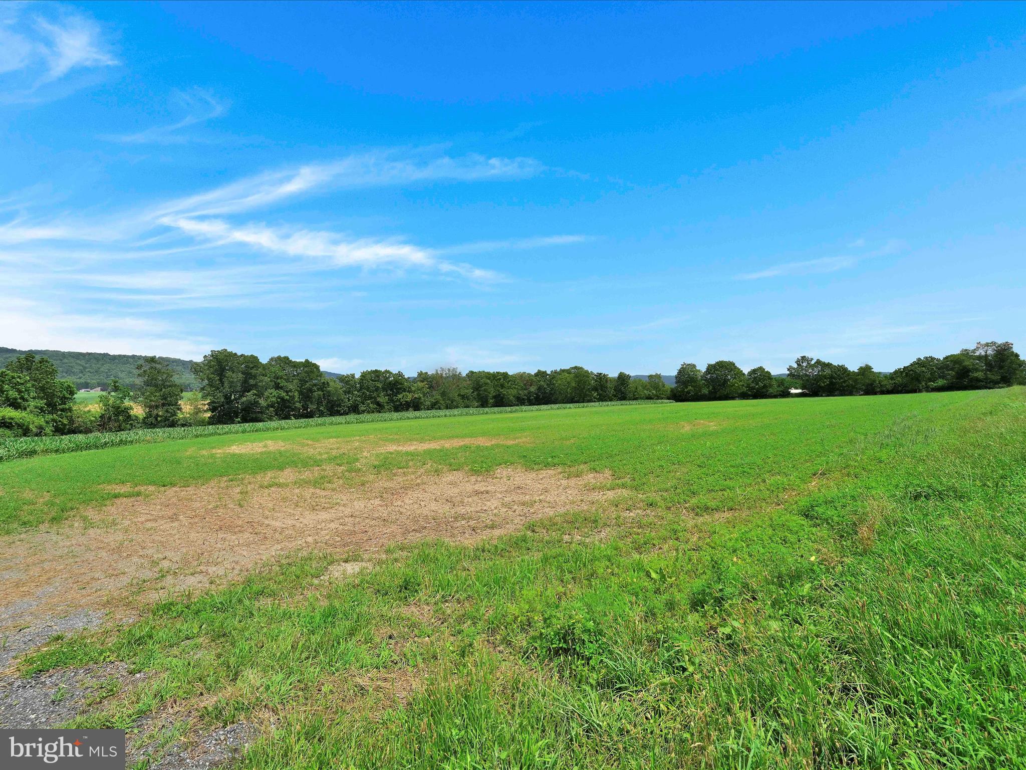 NONE AVAILABLE - Farm