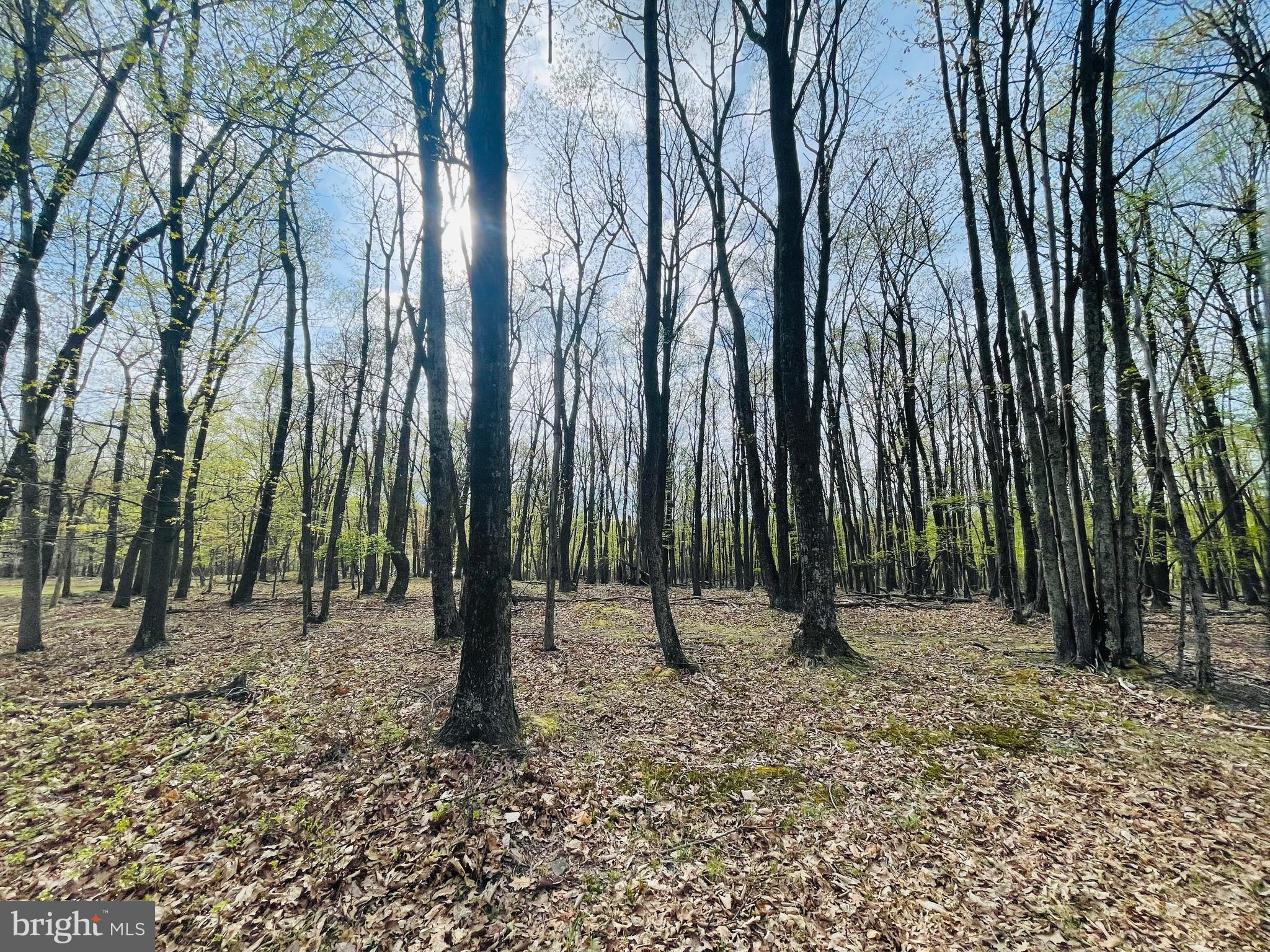 What a great lot! Close to the front gate and recreation areas of the Cove Village Association. This lot goes from Saint Moritz all the way to Jay Peak Lane which allows for so many options when positioning your new home on the lot. Situated in the foothills of the Poconos and only 1 1/2 hours to New York this could be where you build your getaway or your forever home. Whether you are looking for that home away from home or a location close to everything, look no further. Access to I-81 is less than 15 minutes and your commute to Hazleton, Wilkes Barre, or Scranton is a breeze. Bring your own builder and let's make your dreams come true. The community has public water and sewer ready for you to connect through Aqua of Pa which allows for lower building costs than many other locations. Do you desire a cabin or home where you can hunt, fish, ATV, snowmobile, and more? How does approximately 750 acres of unoccupied prime hunting, ATV, and snowmobile riding land, sound to you? Yes, that's right! Adjoining the residential portion of Cove Village is just that for residents of the community and their guests! Driving through the community, the peace and tranquility will envelop you. The homes vary from rustic cabins, chalets, traditional ranch, two-story homes, exquisite new construction, and even dreamy mountain log homes. There really is something for everyone. The approximately 278 acres of residential homes and lots are occupied by full-time residents, part-time vacation homes, and even some snowbird second homes. Cove Village is located in the mountains of Northeastern Pennsylvania and offers an abundance of amenities including a swimming pool, stocked fishing lake, a basketball court, tennis courts, a volleyball court, 2 playgrounds, a baseball field, ATV paths, hunting, a mini golf course, walking paths, and year-round Community events. I can't forget to mention the beautiful lodge ideal to rent for family gatherings. This lot and community just might be exactly what you've been looking for. Air B and B are not permitted. Camping on vacant lots is not permitted. Mobile homes are not permitted. The minimum square footage when building is 1400 square feet. The community maintains the roads and snow removal. Trash collection is also provided. Lot is part of a large subdivision and acreage is an estimate based on similar lots. Actual acreage will be provided in the legal description at closing. An appointment is required to view due to the gated community. Call to schedule your tour today!