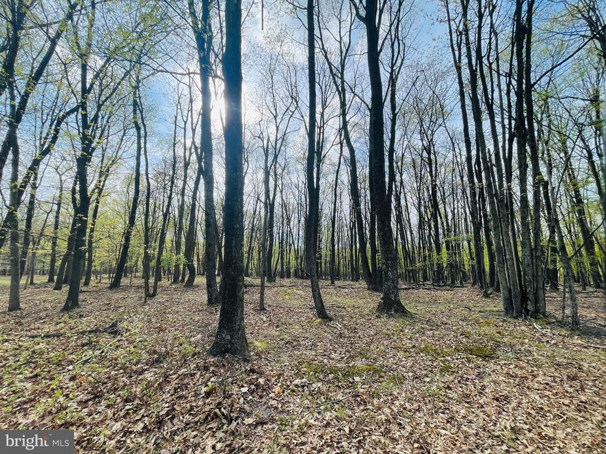 What a great lot!  Close to the front gate and recreation areas of the Cove Village Association.  This lot goes from Saint Moritz all the way to Jay Peak Lane which allows for so many options when positioning your new home on the lot.  Situated in the foothills of the Poconos and only 1 1/2 hours to New York this could be where you build your getaway or your forever home.  Whether you are looking for that home away from home or a location close to everything, look no further.  Access to I-81 is less than 15 minutes and your commute to Hazleton, Wilkes Barre, or Scranton is a breeze.   Bring your own builder and let's make your dreams come true.  The community has public water and sewer ready for you to connect through Aqua of Pa which allows for lower building costs than many other locations.  Do you desire a cabin or home where you can hunt, fish, ATV, snowmobile, and more?  How does approximately 750 acres of unoccupied prime hunting, ATV, and snowmobile riding land, sound to you?  Yes, that's right!  Adjoining the residential portion of Cove Village is just that for residents of the community and their guests!  Driving through the community, the peace and tranquility will envelop you.  The homes vary from rustic cabins, chalets, traditional ranch, two-story homes, exquisite new construction, and even dreamy mountain log homes.  There really is something for everyone.  The approximately 278 acres of residential homes and lots are occupied by full-time residents, part-time vacation homes, and even some snowbird second homes.  Cove Village is located in the mountains of Northeastern Pennsylvania and offers an abundance of amenities including a swimming pool, stocked fishing lake, a basketball court, tennis courts, a volleyball court, 2 playgrounds, a baseball field, ATV paths, hunting, a mini golf course, walking paths, and year-round Community events.  I can't forget to mention the beautiful lodge ideal to rent for family gatherings.   This lot and community just might be exactly what you've been looking for.  Air B and B are not permitted. Camping on vacant lots is not permitted.  Mobile homes are not permitted.  The minimum square footage when building is 1400 square feet.  The community maintains the roads and snow removal.  Trash collection is also provided.   Lot is part of a large subdivision and acreage is an estimate based on similar lots.  Actual acreage will be provided in the legal description at closing.  An appointment is required to view due to the gated community.  Call to schedule your tour today!