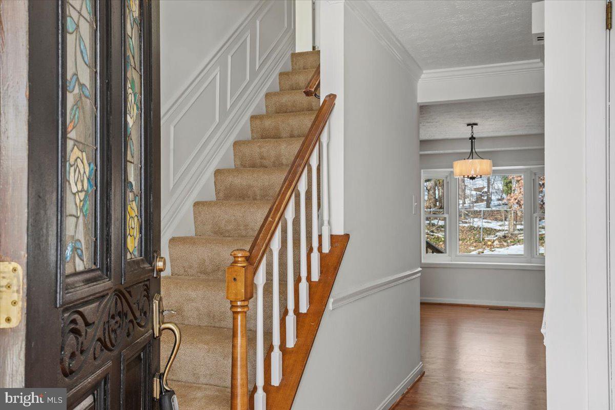 NORTH SPRINGFIELD PARK - Residential