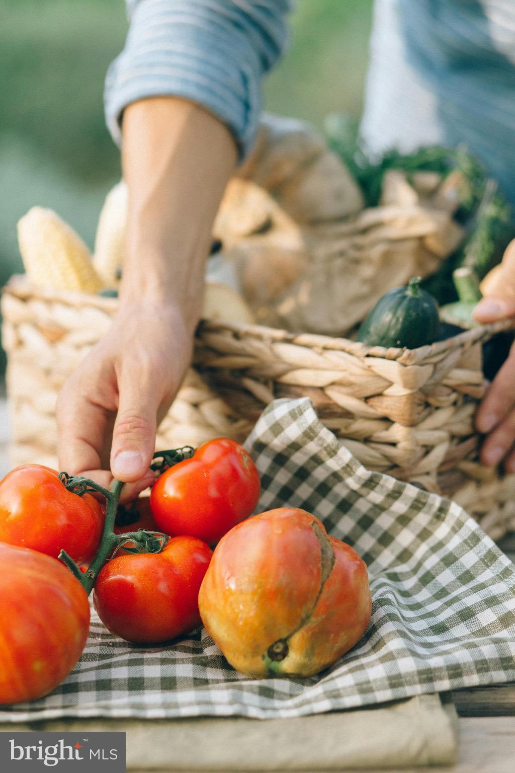 RANCH SECTION CARROLL VALLEY BOROUGH - Residential