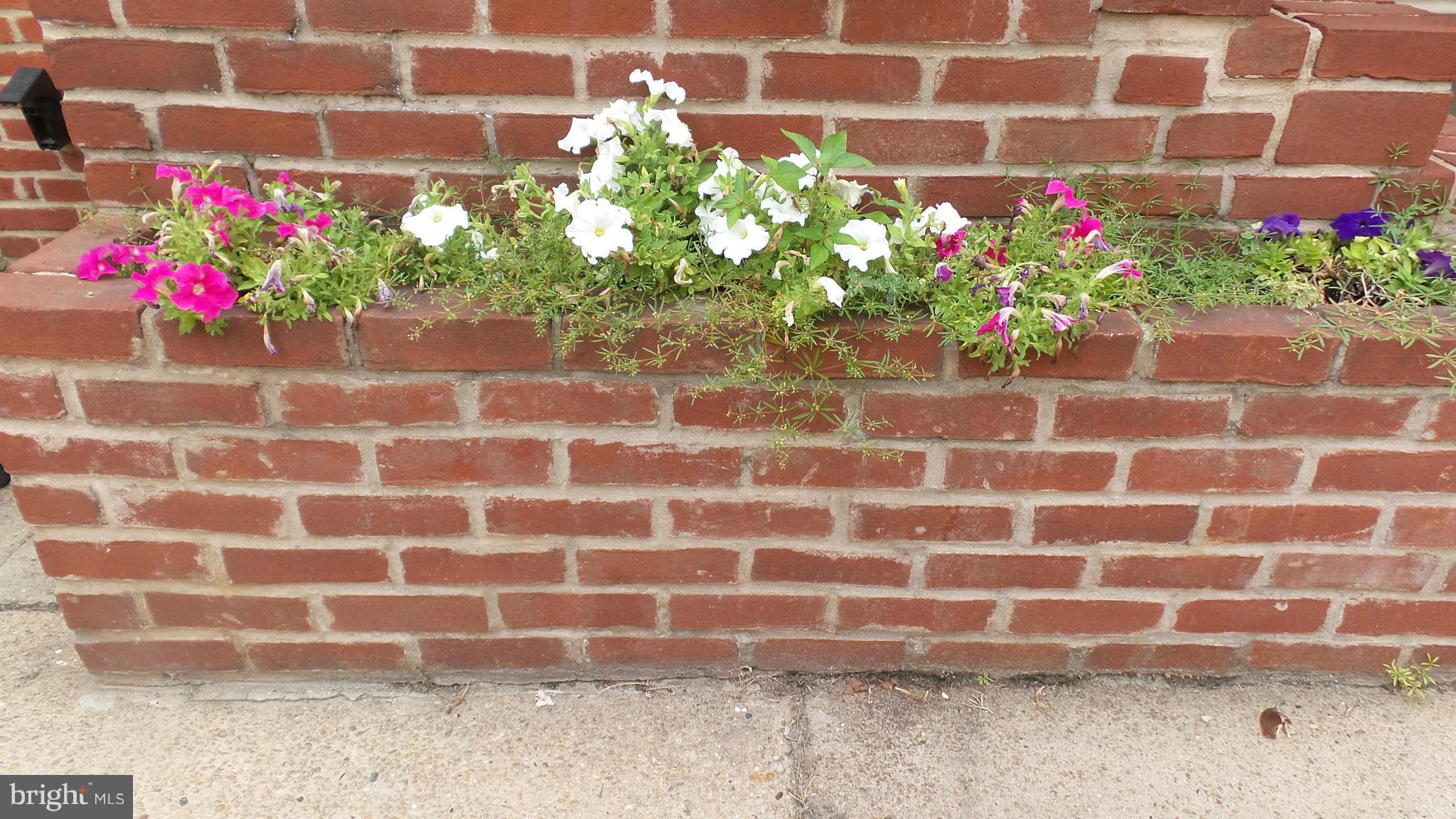 CANTON HISTORIC DISTRICT - Residential Lease