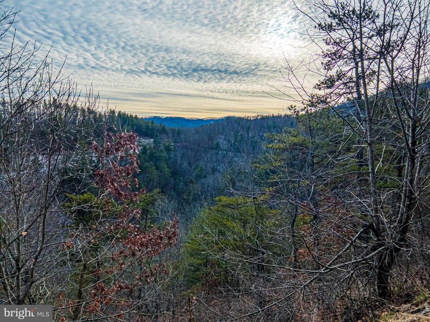 Nestled in the heart of Greenbrier County, within the gated community of Overlook at Greenbrier, lies a pristine piece of land that seamlessly combines natural beauty and recreational opportunities. This remarkable property offers a unique blend of tranquility and adventure, making it an ideal haven for those seeking a harmonious connection with nature.

Spanning an expansive landscape, the property boasts mature oaks that gracefully dot the terrain, creating a picturesque setting. The land is adorned with an abundance of wildlife, including whitetail deer, turkey, and black bear, providing nature enthusiasts and hunters with an unparalleled experience. Whether you're an avid hunter or simply appreciate observing wildlife in their natural habitat, this property offers a front-row seat to the wonders of the great outdoors.

As you explore the grounds, you'll discover the soothing melody of natural springs that add to the property's allure. These pristine springs not only contribute to the land's ecological richness but also offer a refreshing touch to the overall atmosphere. Imagine unwinding by the babbling brooks, surrounded by the symphony of nature, creating a sanctuary for relaxation and contemplation.

One of the standout features of this property is its breathtaking mountain views. Embrace the serenity as you gaze upon the rolling hills and majestic peaks that paint the horizon. Whether it's the soft glow of sunrise or the vibrant hues of sunset, each moment offers a spectacle of nature's artistry, turning the mountains into a living canvas.

Strategically situated near notable landmarks such as the Greenbrier, Greenbrier State Park, the Greenbrier River, Greenbrier River Trail, and the charming town of Lewisburg, this property provides convenient access to a myriad of recreational activities. Enjoy golf nearby at one of the Greenbrier's world-renowned courses, leisurely strolls along the river trail, kayaking on the Greenbrier River, or explore the natural wonders of Greenbrier State Park. The proximity to Lewisburg also allows for easy access to cultural events, dining, and shopping, striking a perfect balance between rural retreat and modern amenities.

This remarkable piece of land offers a rare opportunity to own a slice of paradise, where the allure of nature meets the convenience of nearby attractions. Whether you envision building your dream home, establishing a private getaway, or embracing the call of the wild, this property invites you to create lasting memories amid its enchanting landscapes. Immerse yourself in the unparalleled beauty of the Overlook at Greenbrier, where every day is an invitation to embrace the extraordinary.