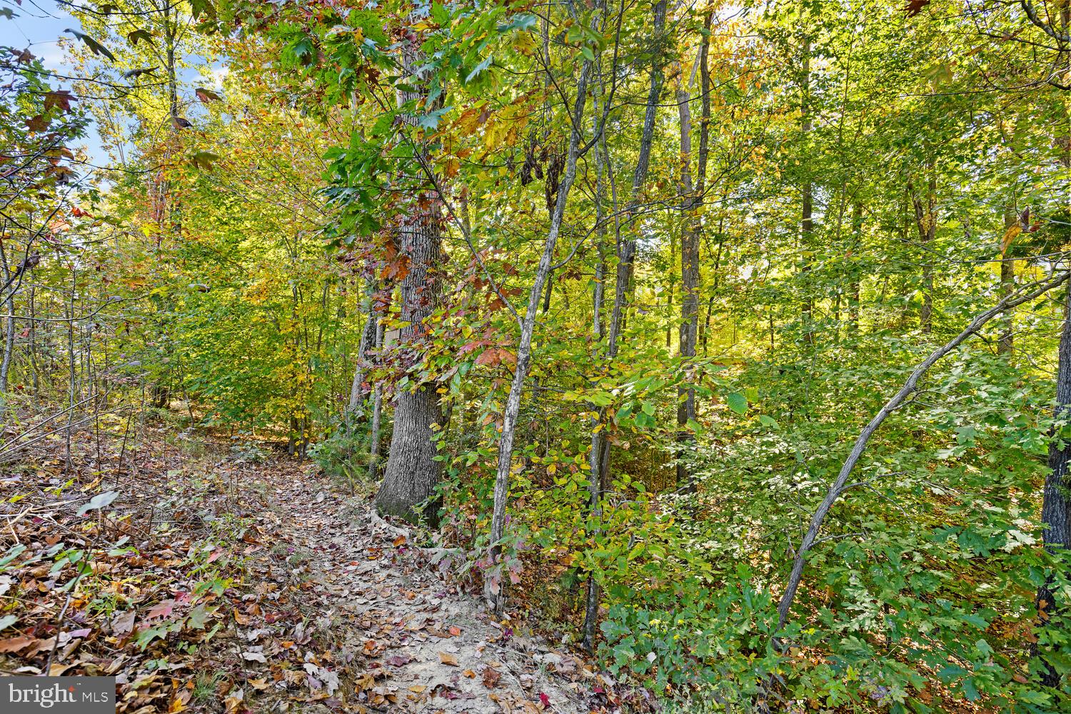 EMBREY MILL - Residential Lease