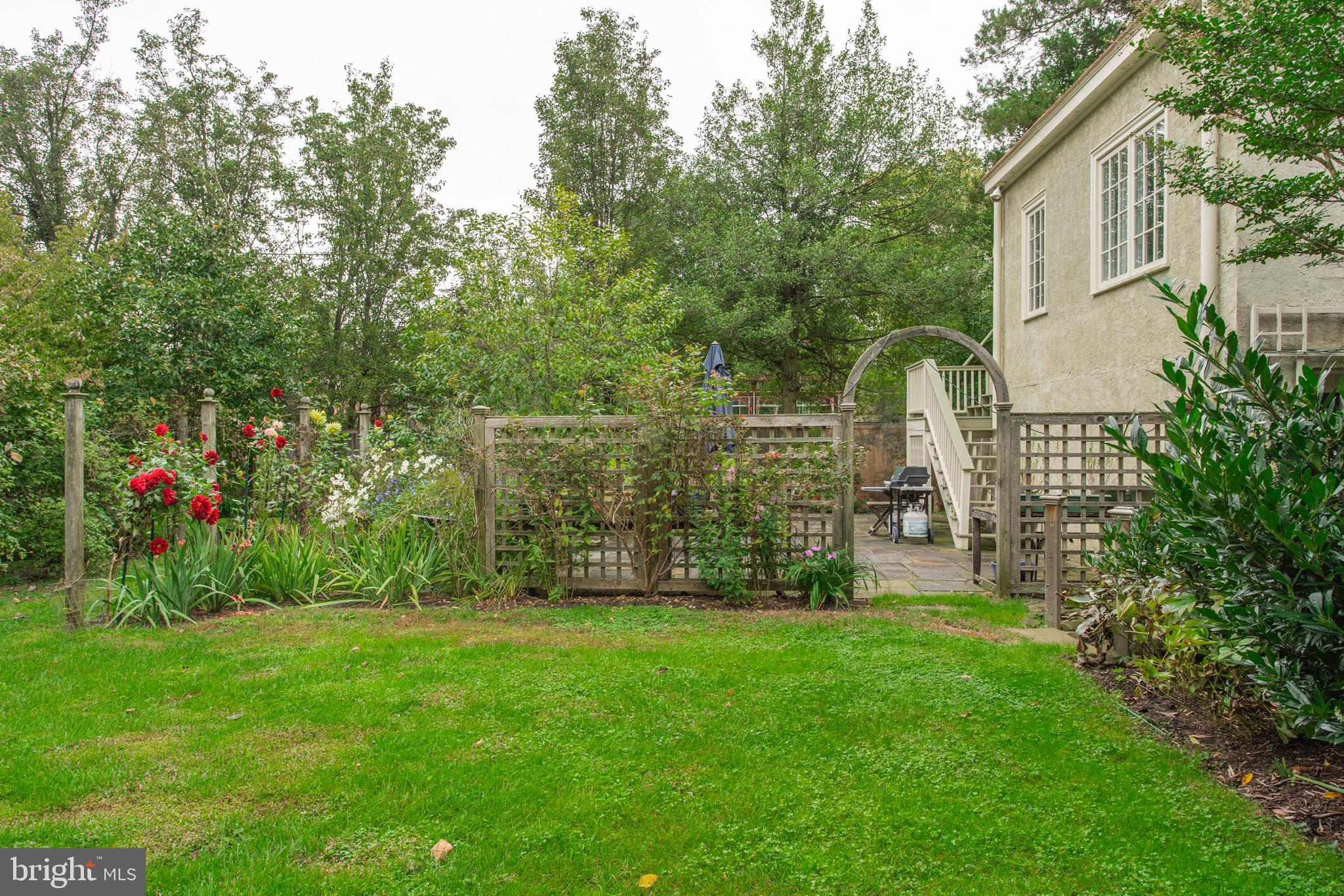 CHESTNUT HILL - Residential