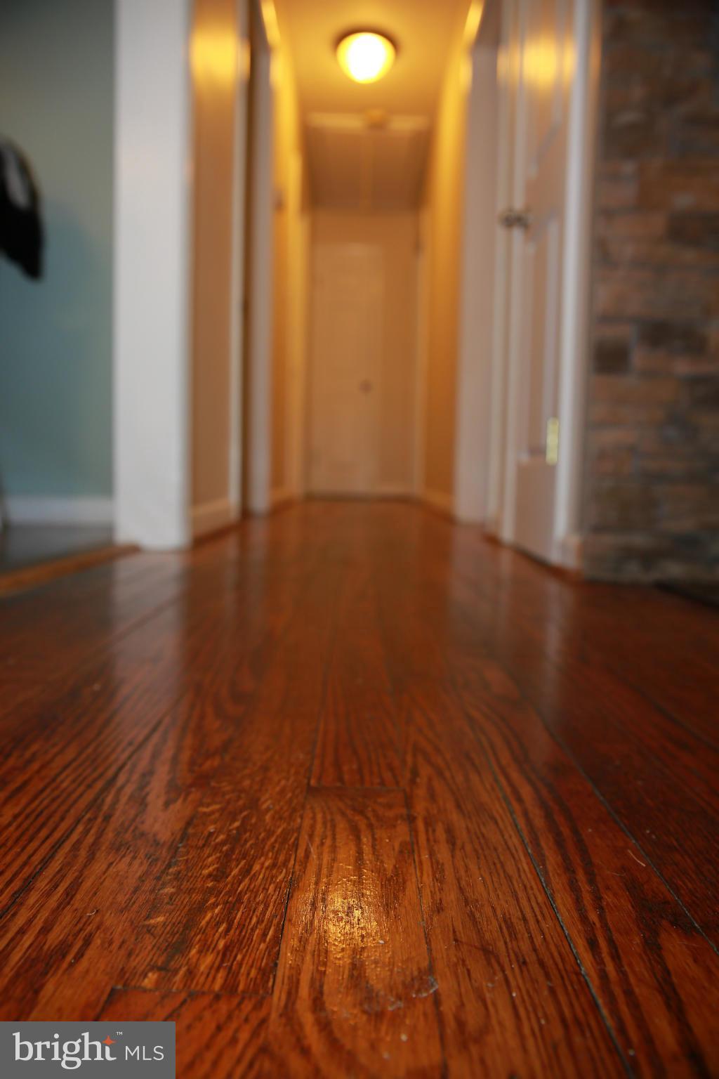 FERRY FARMS - Residential