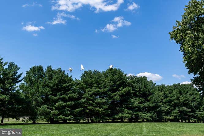 TRAPPE - Residential