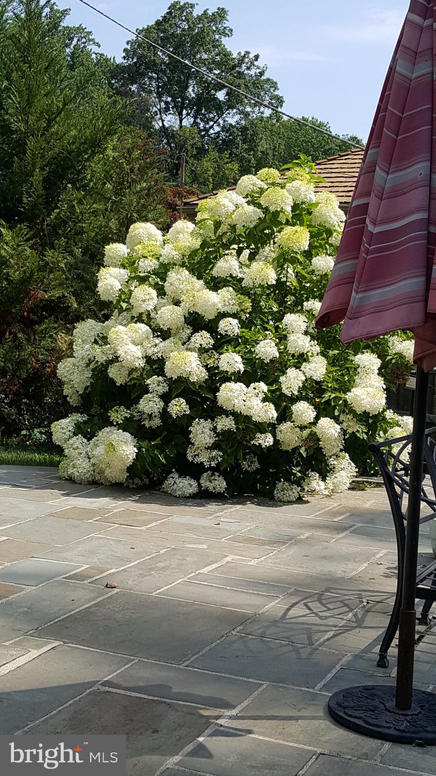 BANNOCKBURN ESTATES - Residential Lease