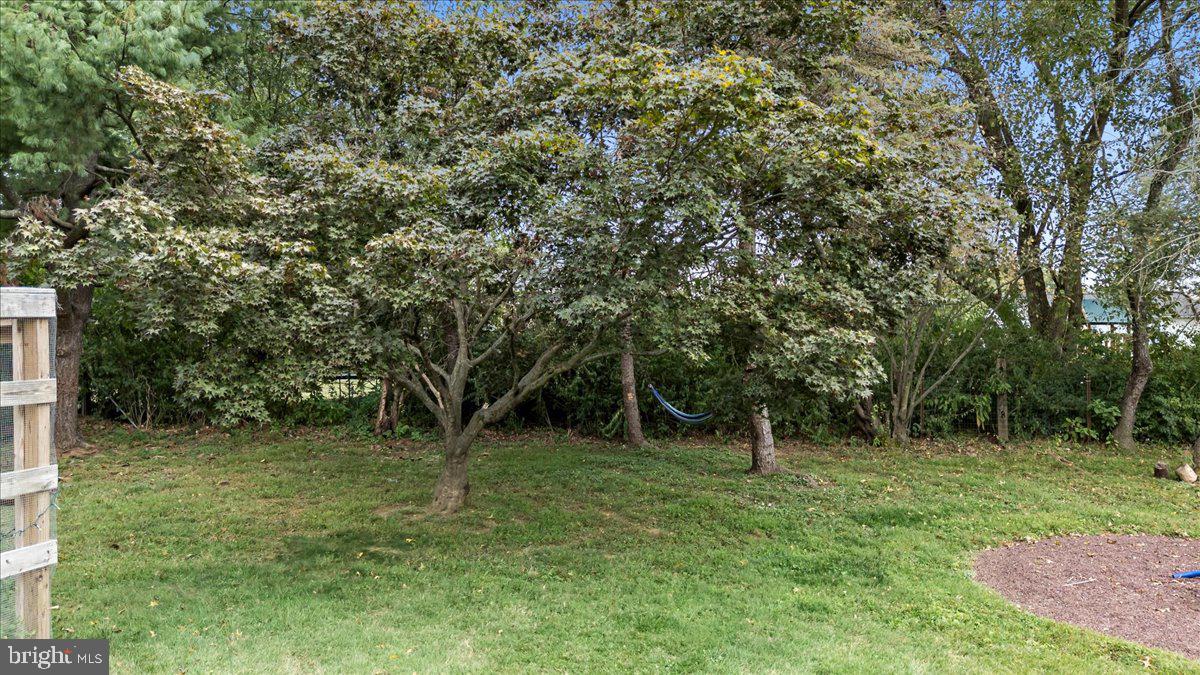 BRIDLE PATH MANOR - Residential