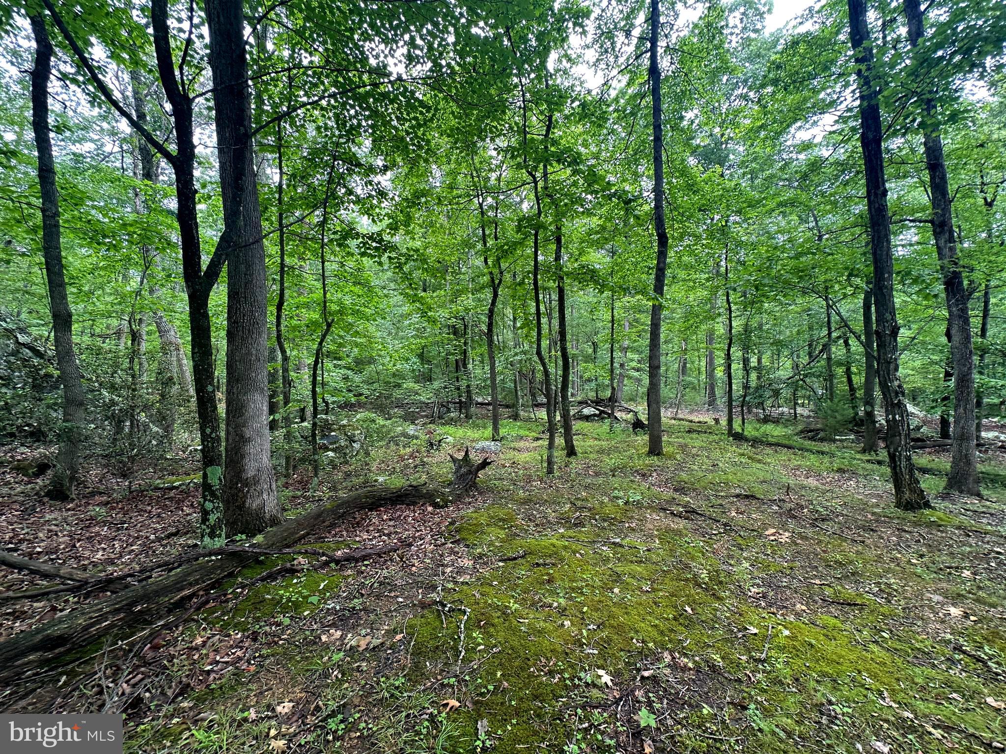 LOST RIVER GLEN - Residential