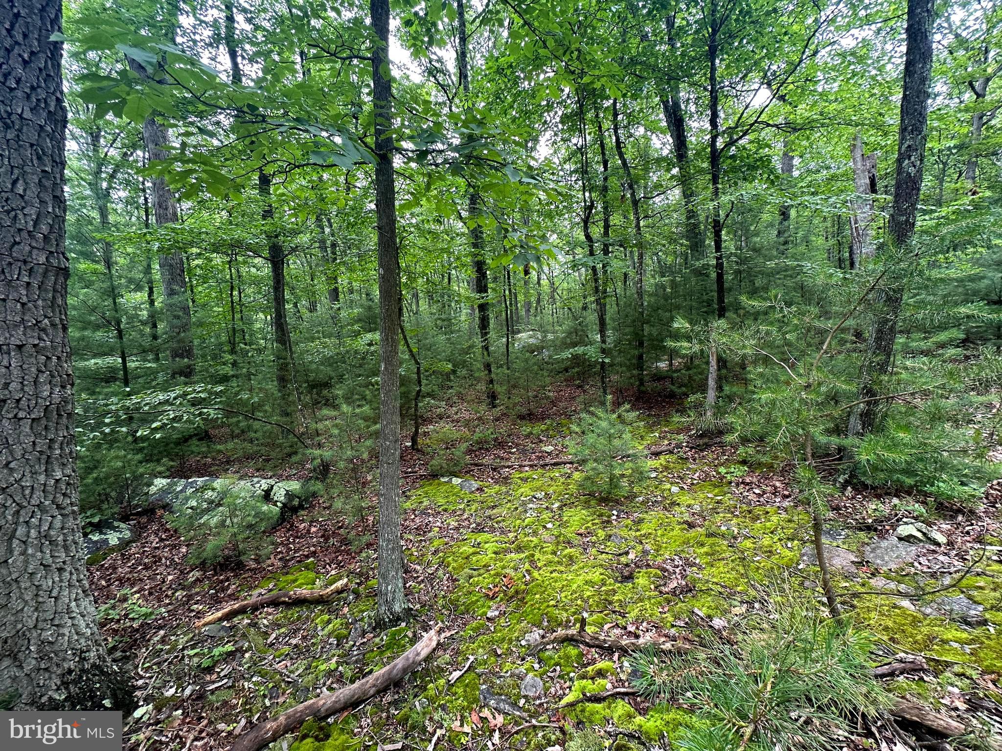 LOST RIVER GLEN - Residential