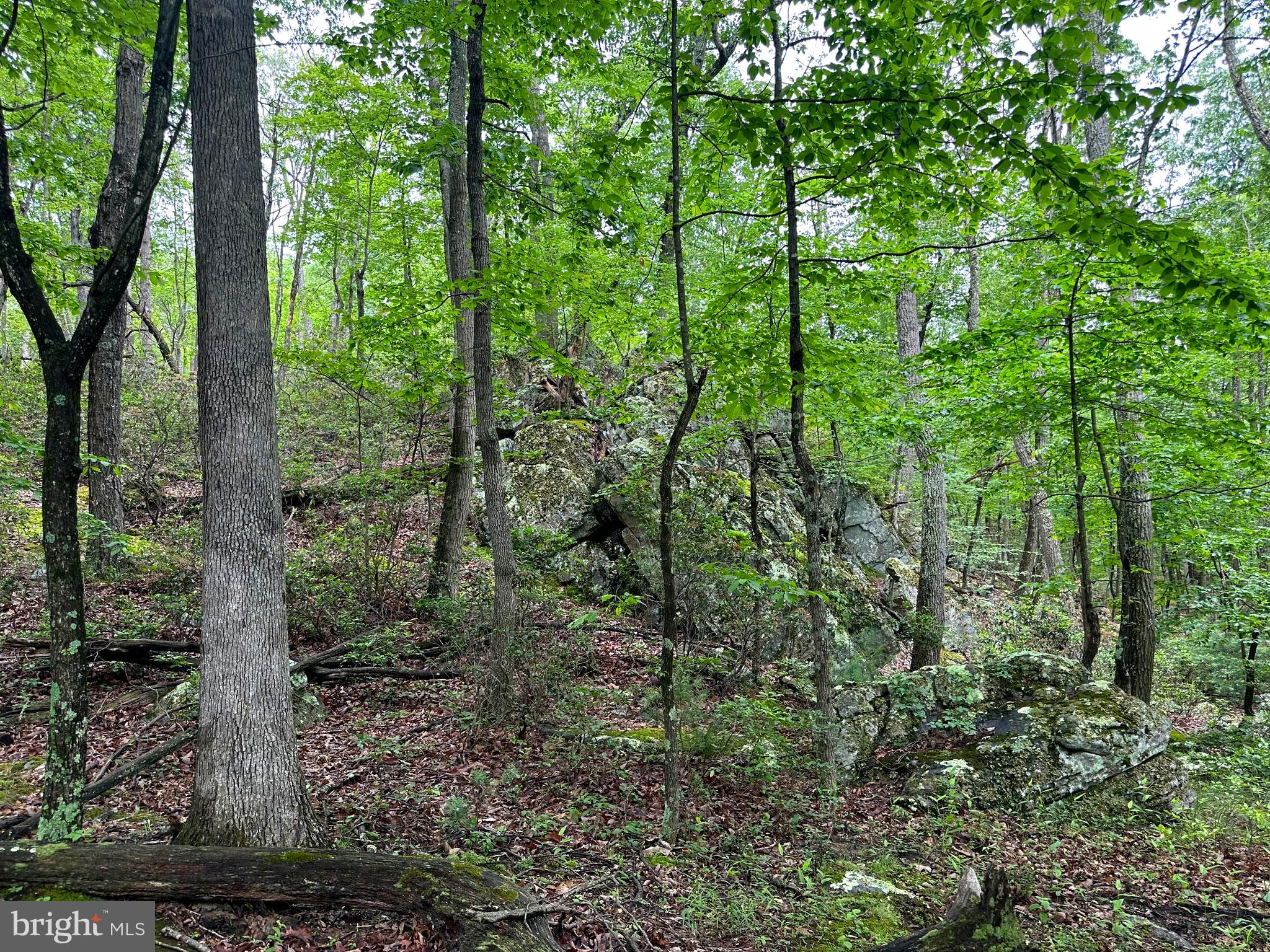 LOST RIVER GLEN - Residential