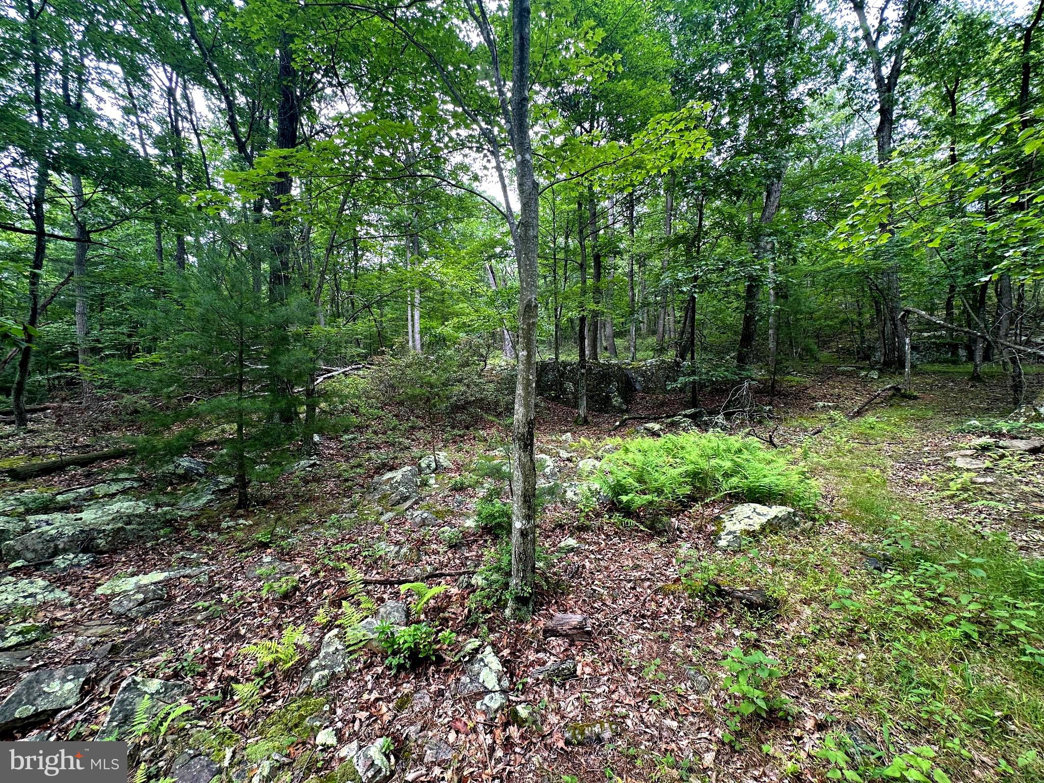 LOST RIVER GLEN - Residential