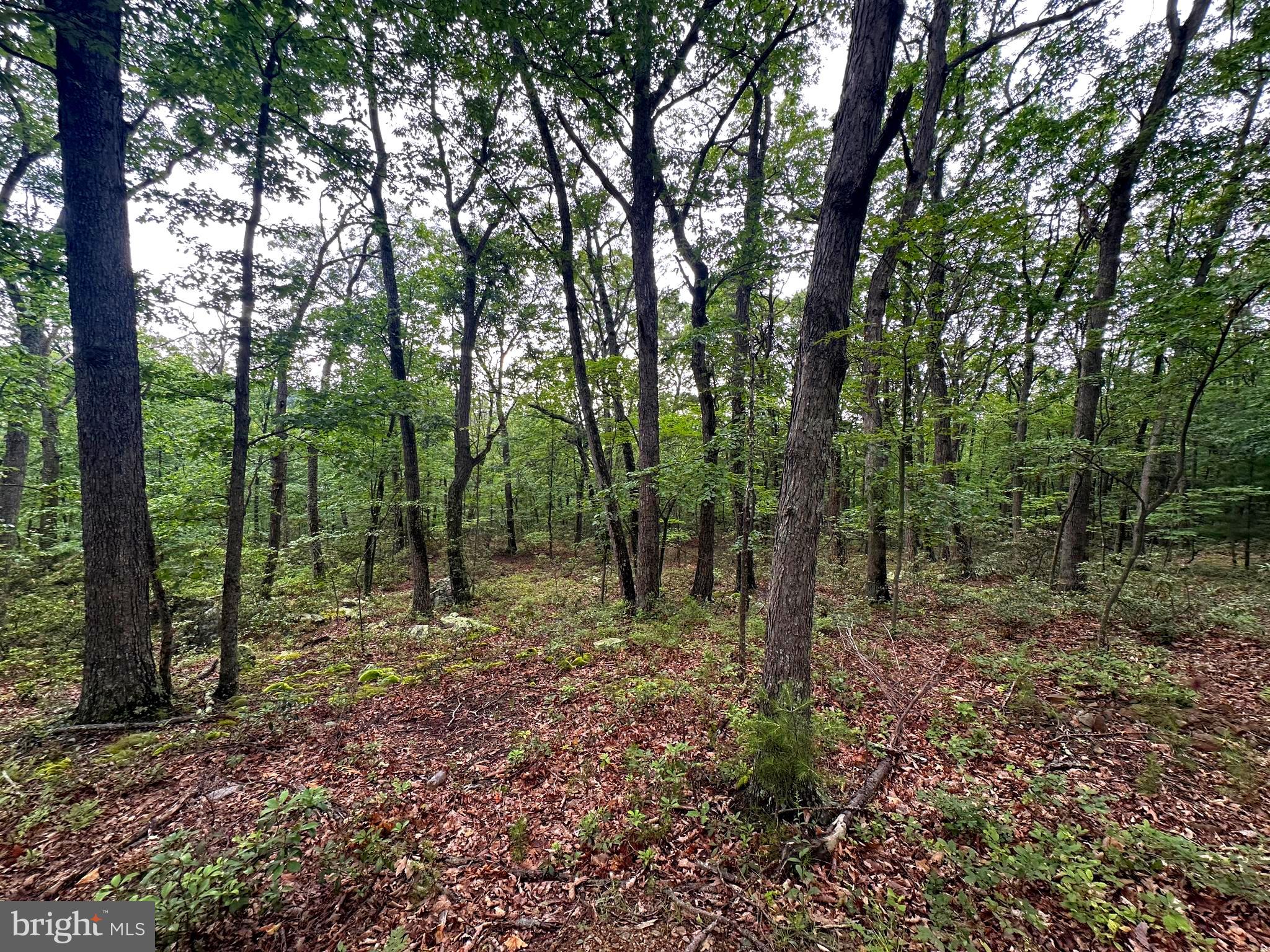 LOST RIVER GLEN - Residential