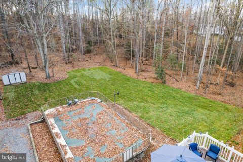 listing image 59