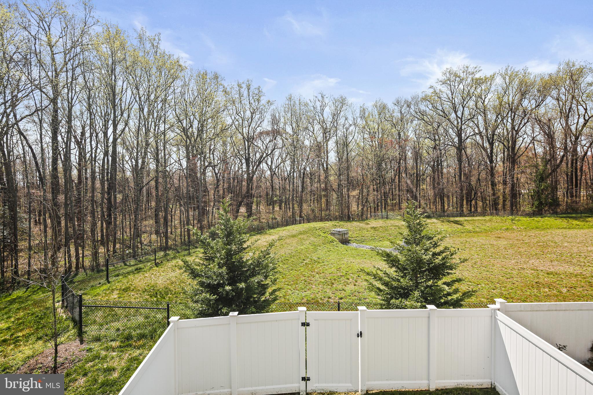 PRESERVE AT WINDLASS RUN - Residential