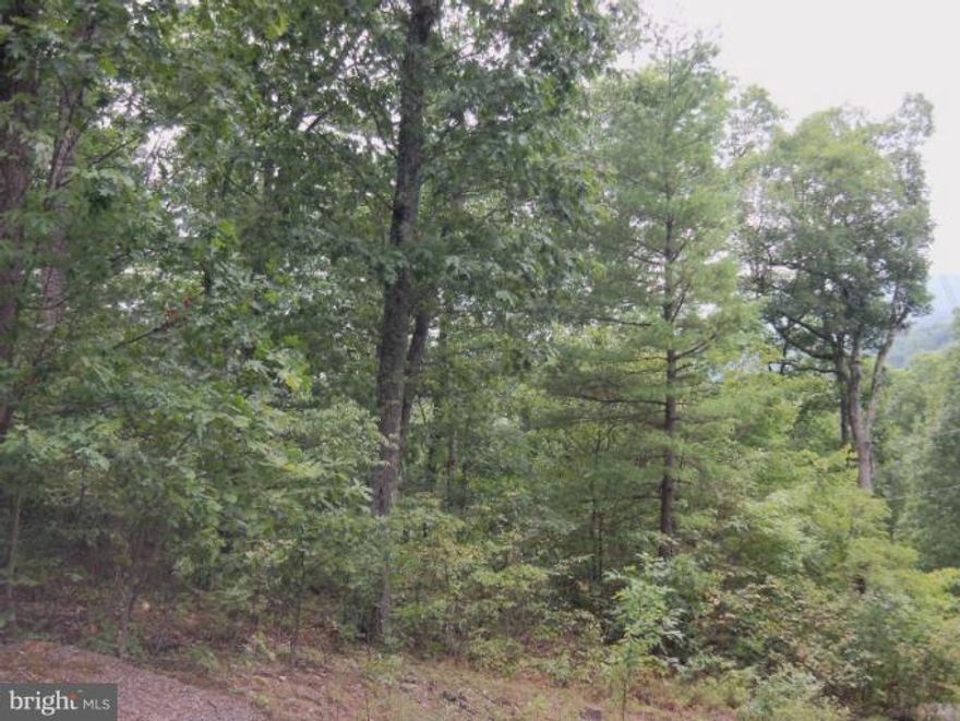 Wooded 2 acre lot within minutes of Historic downtown Berkeley Springs, adjoining lots also available.  3 bedroom septic permit on file. Build your dream cabin in the woods Purchase both 2 acre lots for $25,000.00 additional lot is MO7672276.  Owner financing available to qualified buyer.