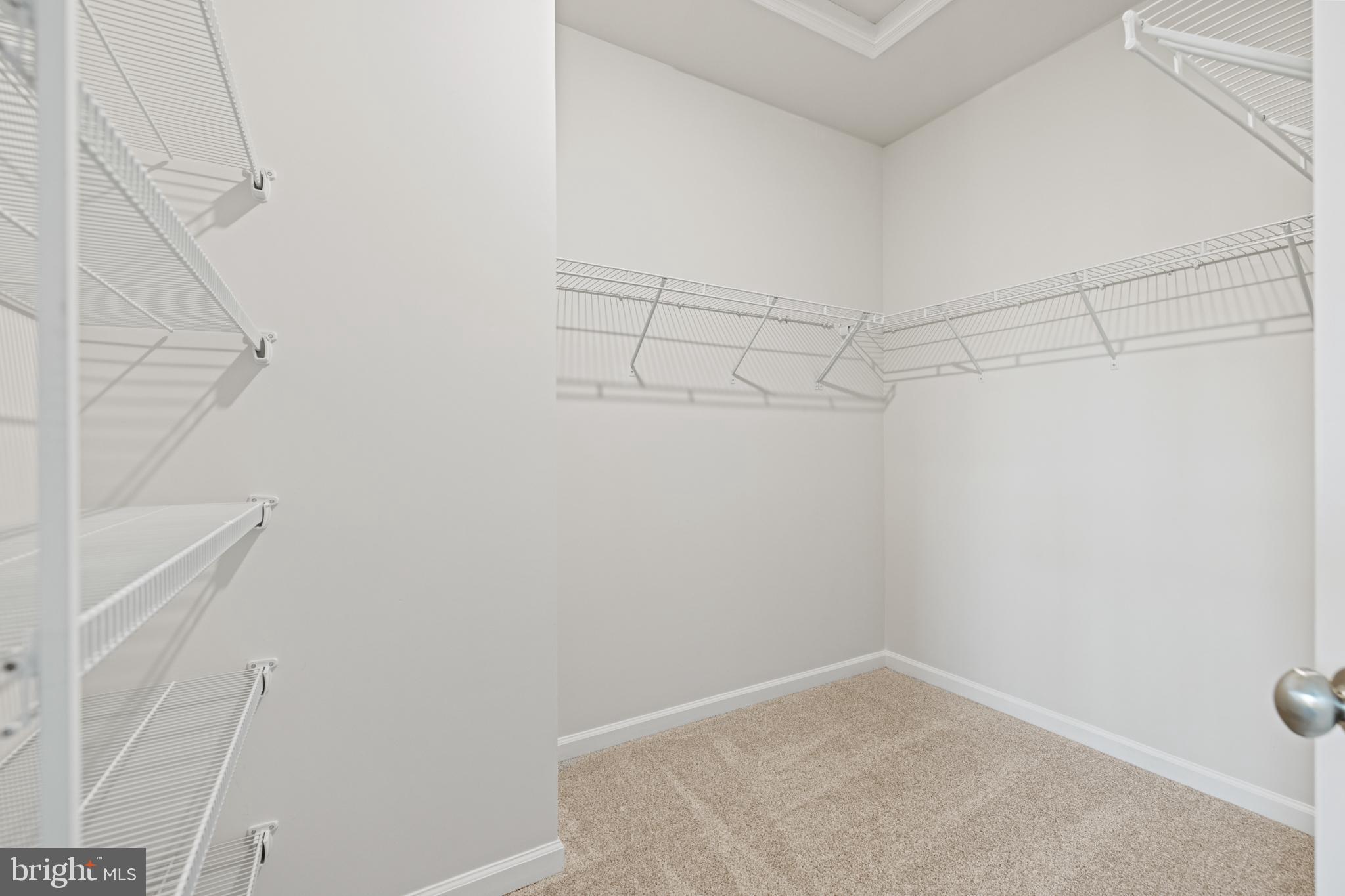 POTOMAC STATION MARKETPLACE - Residential Lease