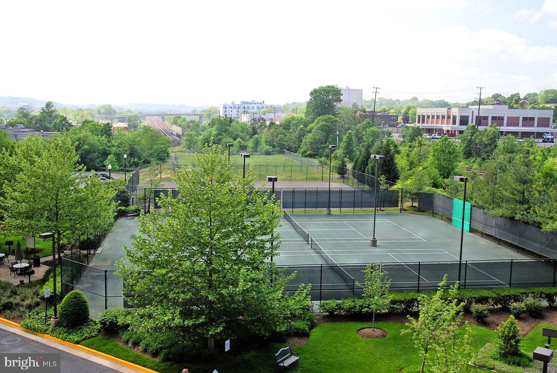 CARLYLE TOWERS - Residential Lease