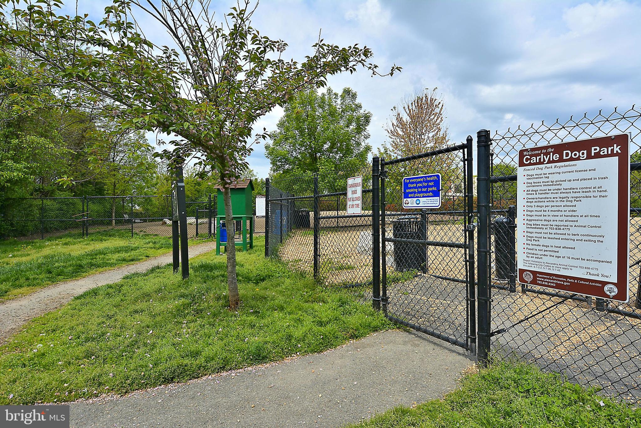 CARLYLE TOWERS - Residential Lease