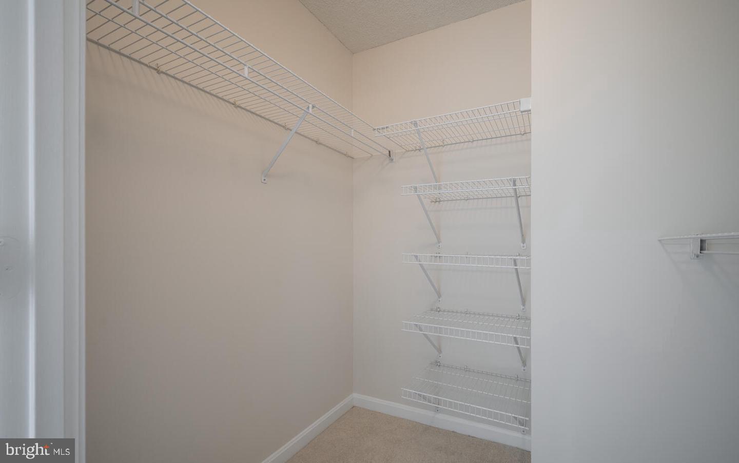 CARLYLE TOWERS - Residential Lease