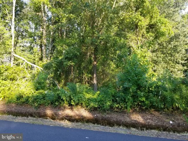 Lot 3 Circle Lane, Colonial Beach, VA 22443