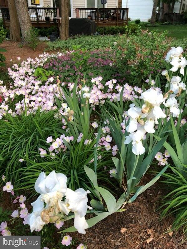 LITTLE ROCKY RUN - Residential