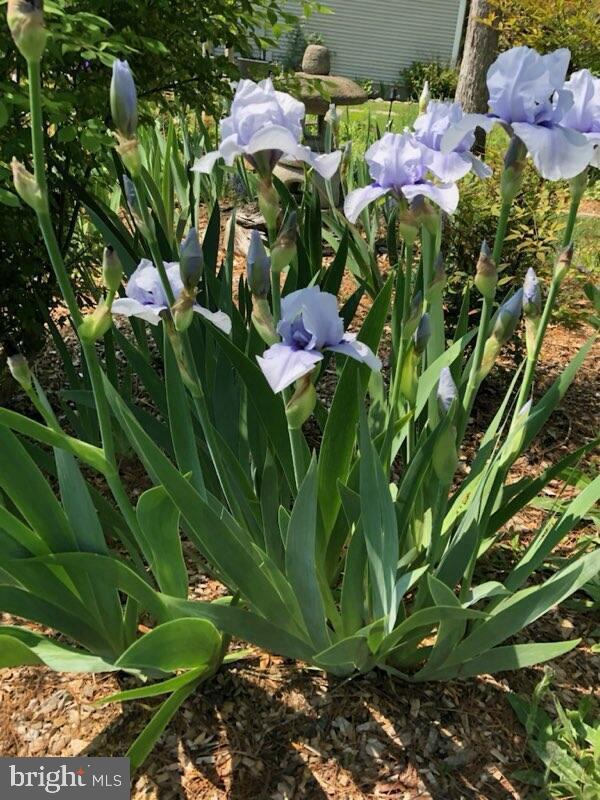 LITTLE ROCKY RUN - Residential
