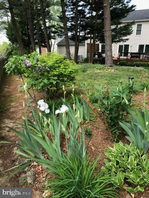 LITTLE ROCKY RUN - Residential