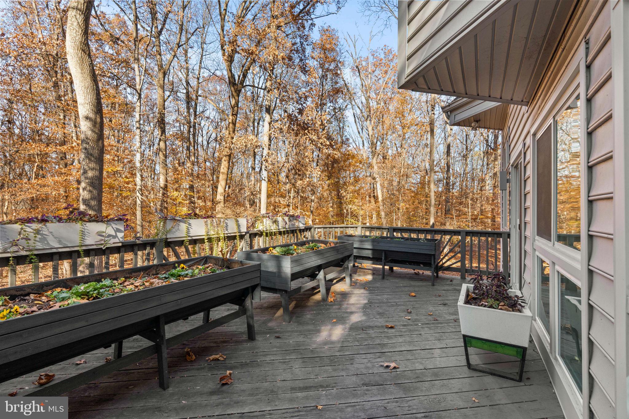 KINGS CONTRIVANCE - Residential