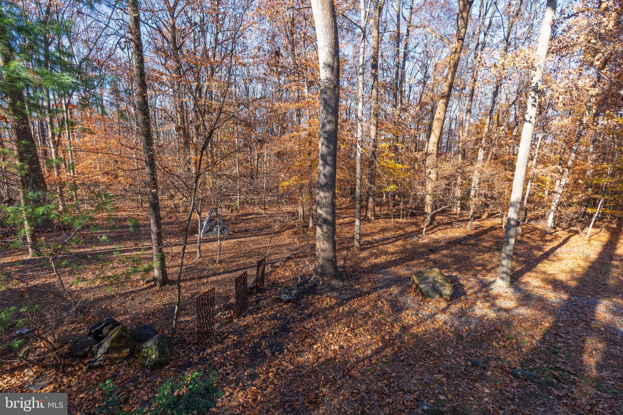 KINGS CONTRIVANCE - Residential