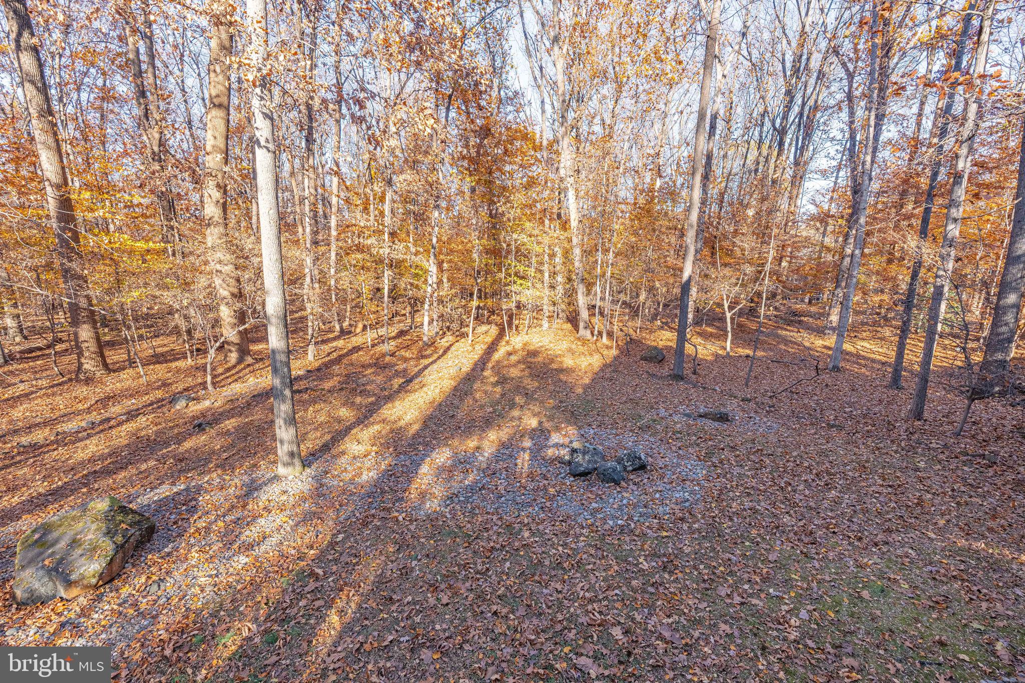 KINGS CONTRIVANCE - Residential