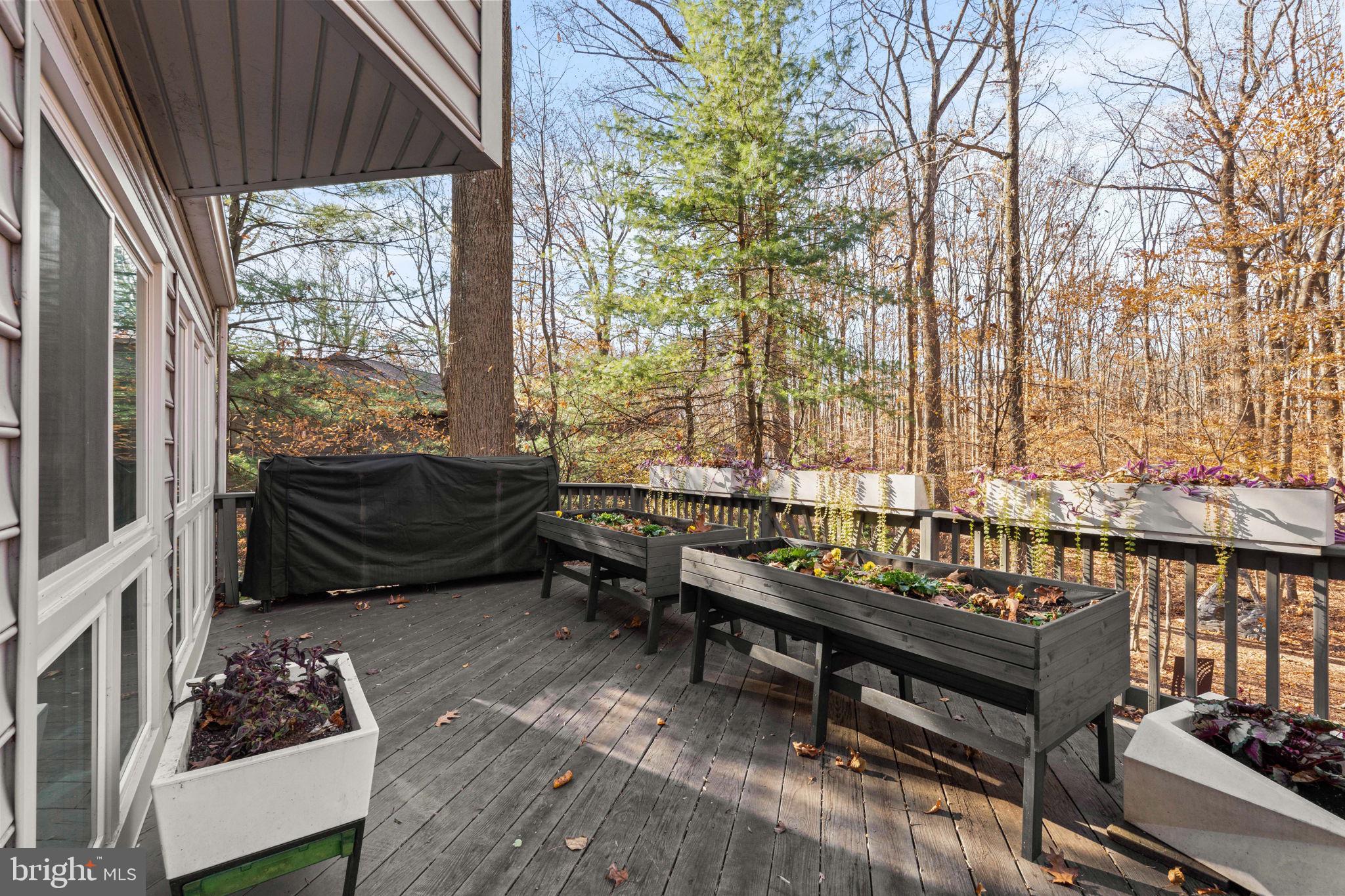 KINGS CONTRIVANCE - Residential