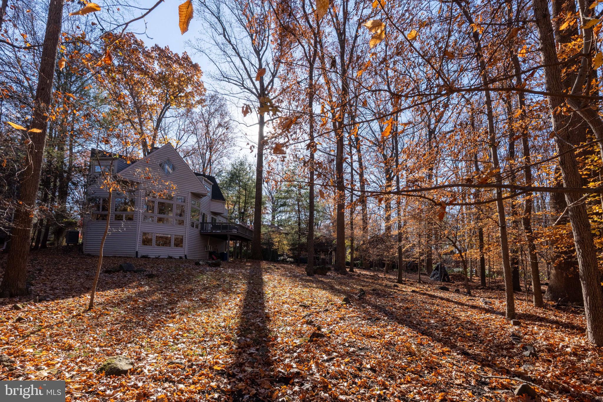 KINGS CONTRIVANCE - Residential