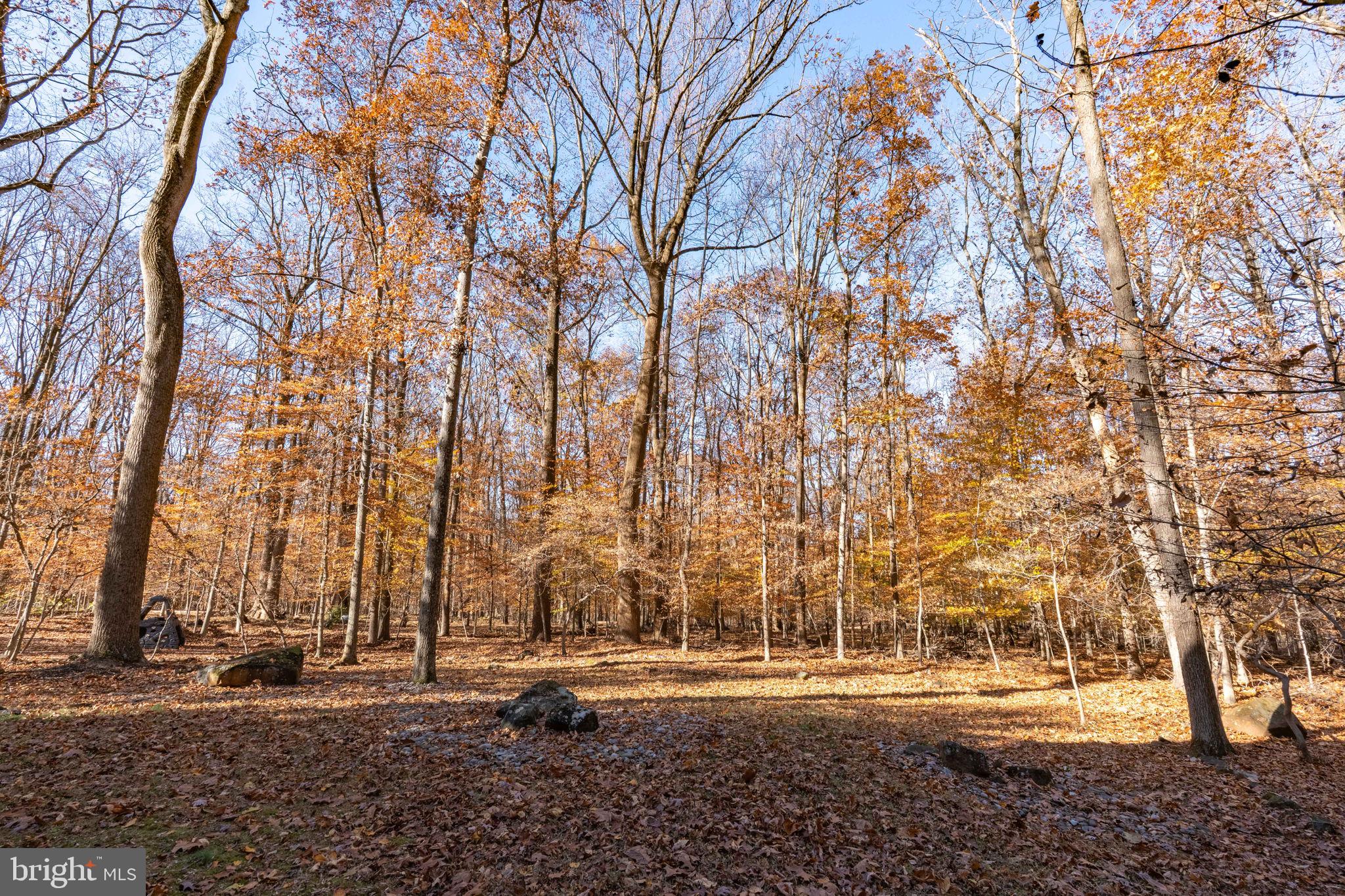 KINGS CONTRIVANCE - Residential