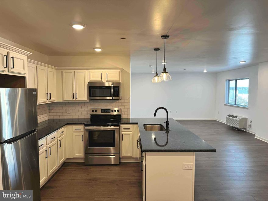 Available August 1st!  - Spacious and modern 1-bedroom apartment at The Onyx! Your new home is located in the heart of Roxborough, convenient to public transit, dining, shopping, major highways, and more. Enjoy stylish design with wood-inspired flooring, oversized windows, and high end fixtures throughout. Entertain with ease in your sizeable living/dining area and island kitchen with custom granite countertops and stainless steel appliances. Relax after a long day on our community roof deck, and stay fit with FREE gym access right across the street. Plus, your new home is 100% pet-friendly with NO FEES! This apartment home will not last - apply today!