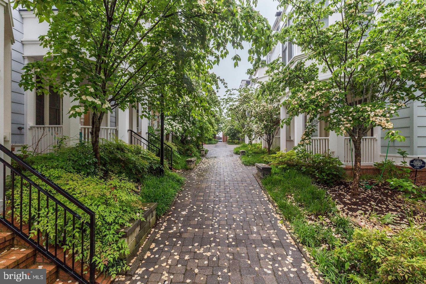 BROMPTONS AT CHERRYDALE - Residential Lease